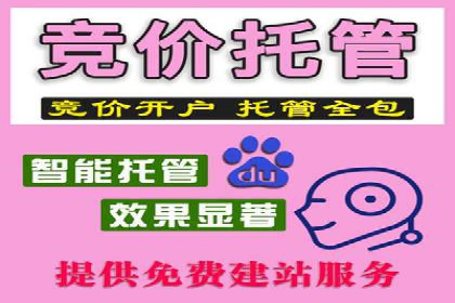案例解析：sem竞价策略在电商平台的成功应用